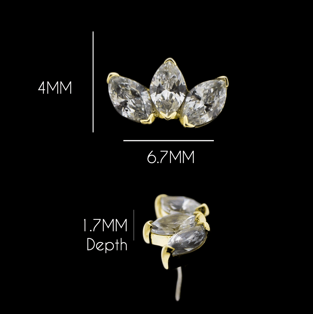Aria - 14KT Gold Threadless End - Pierced Addiction