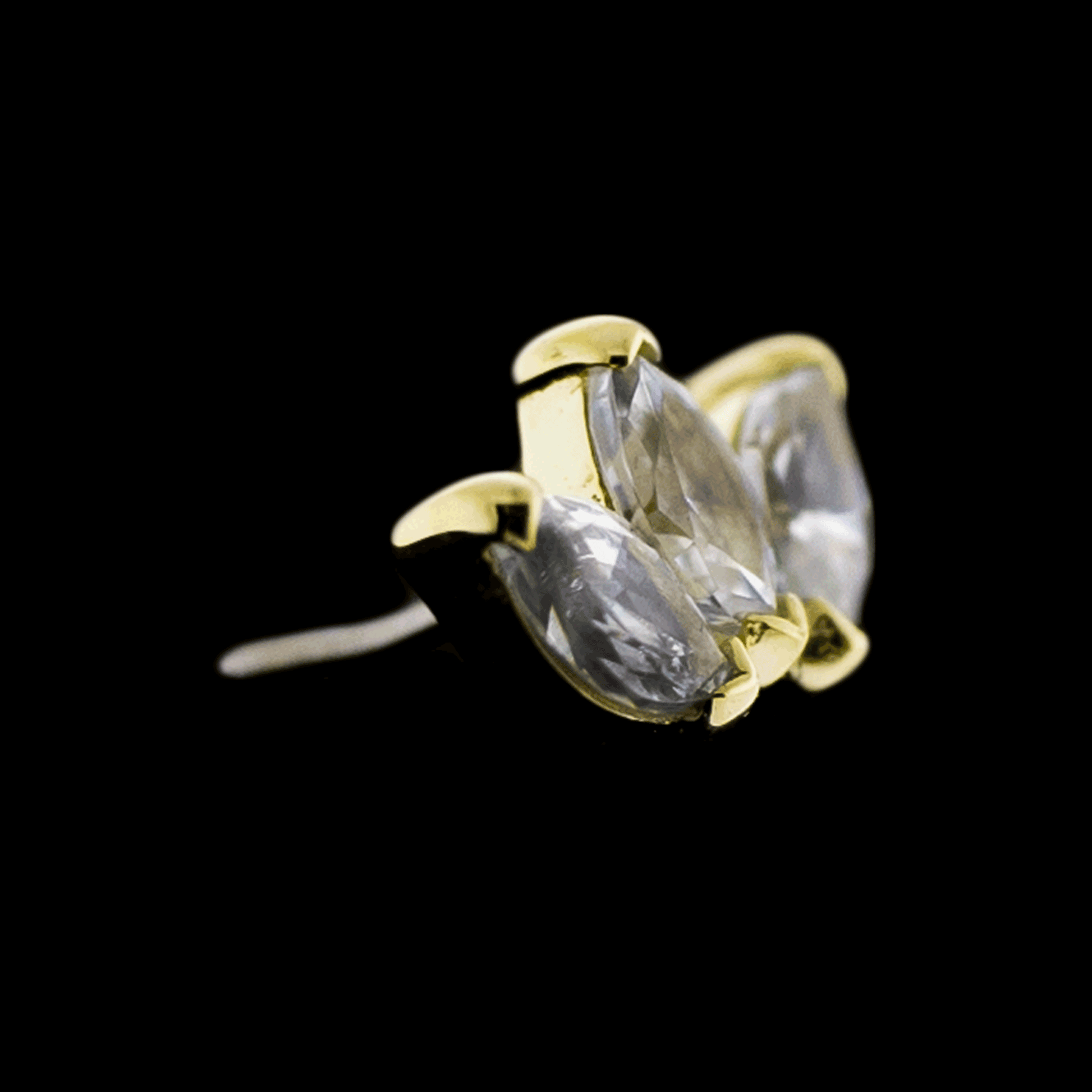Aria - 14KT Gold Threadless End - Pierced Addiction