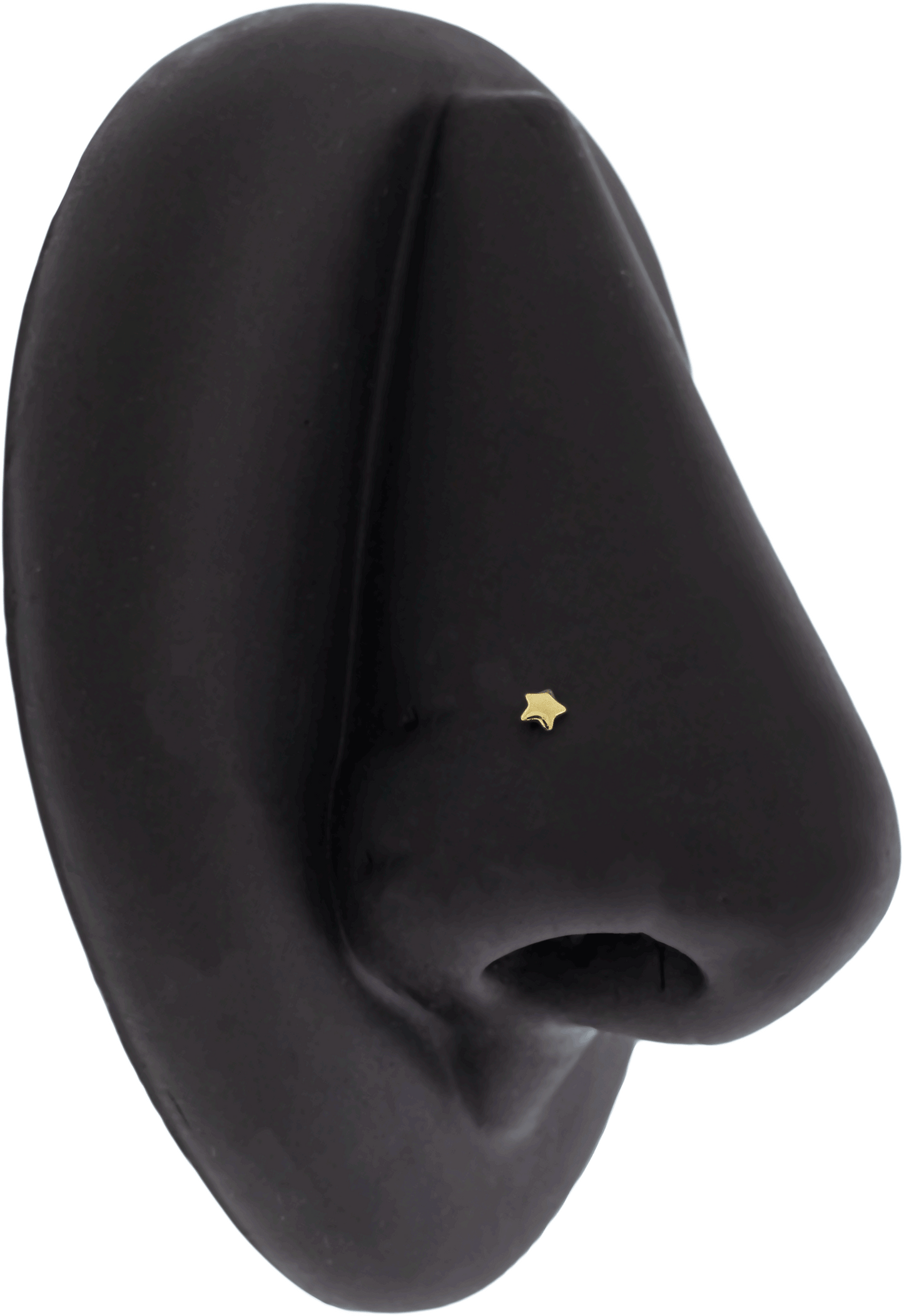 Amara - 14KT Gold Threadless End - Pierced Addiction