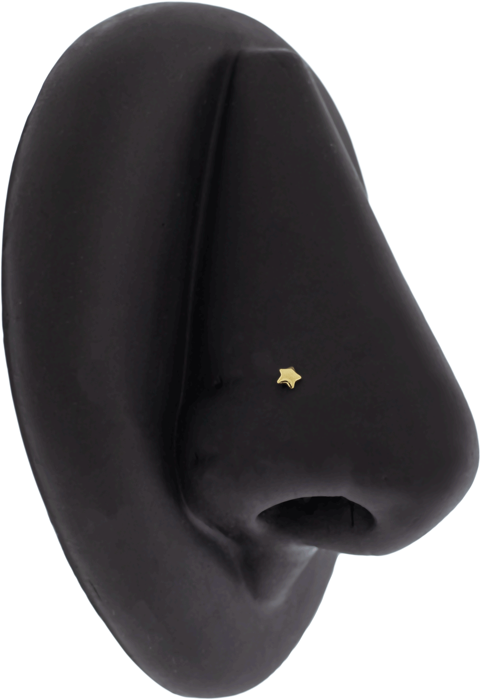 Amara - 14KT Gold Threadless End - Pierced Addiction