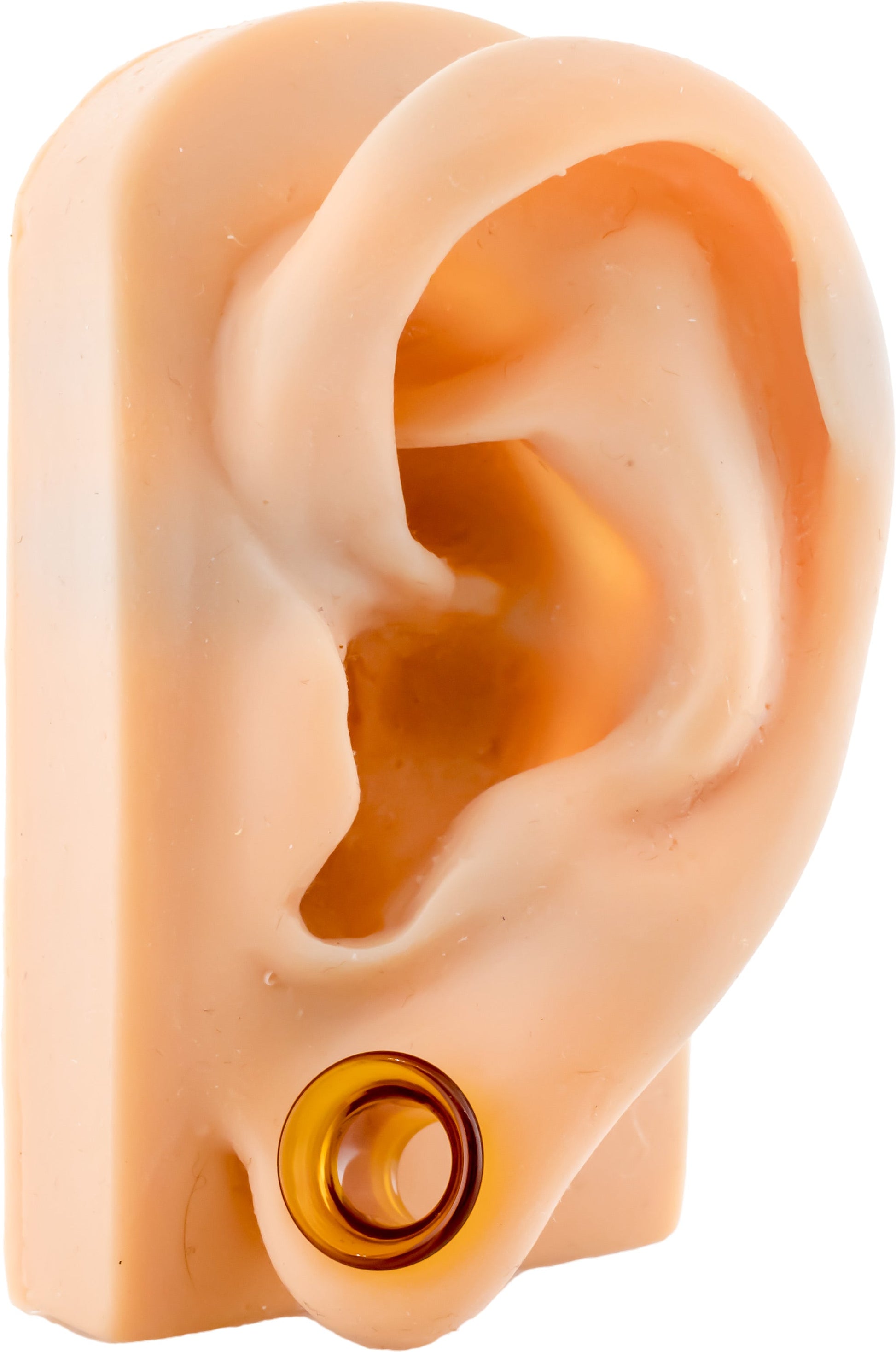 Pair Amber Single Flare Tunnel - Pierced Addiction