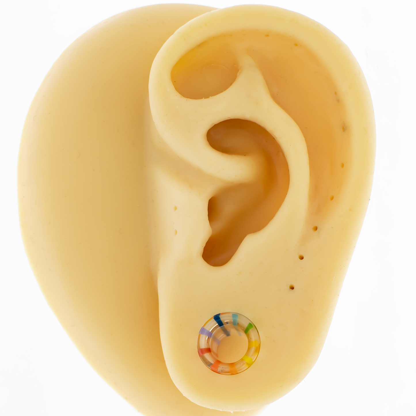 Pair Over The Rainbow Borosilicate Glass Single Flare Tunnel - Pierced Addiction