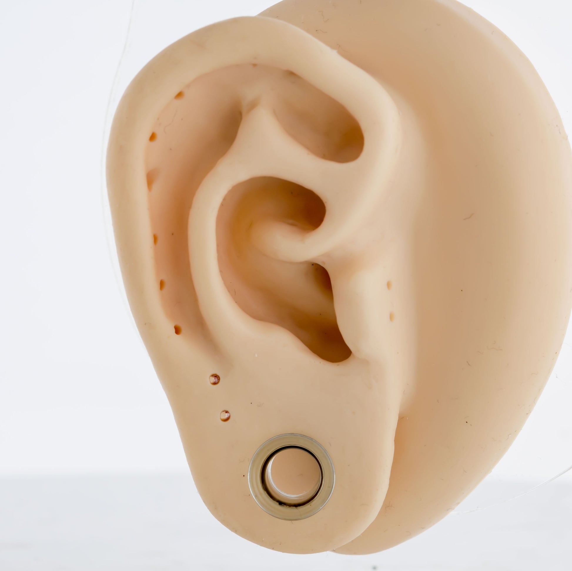 Pair Single Flare Borosilicate Glass Smoke Tunnel - Pierced Addiction