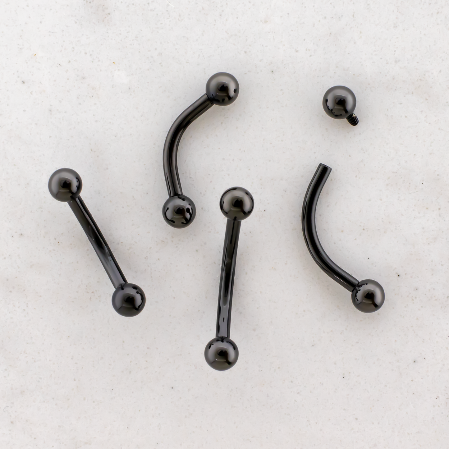 Black PVD Steel Internally Threaded Curved Barbell - Pierced Addiction