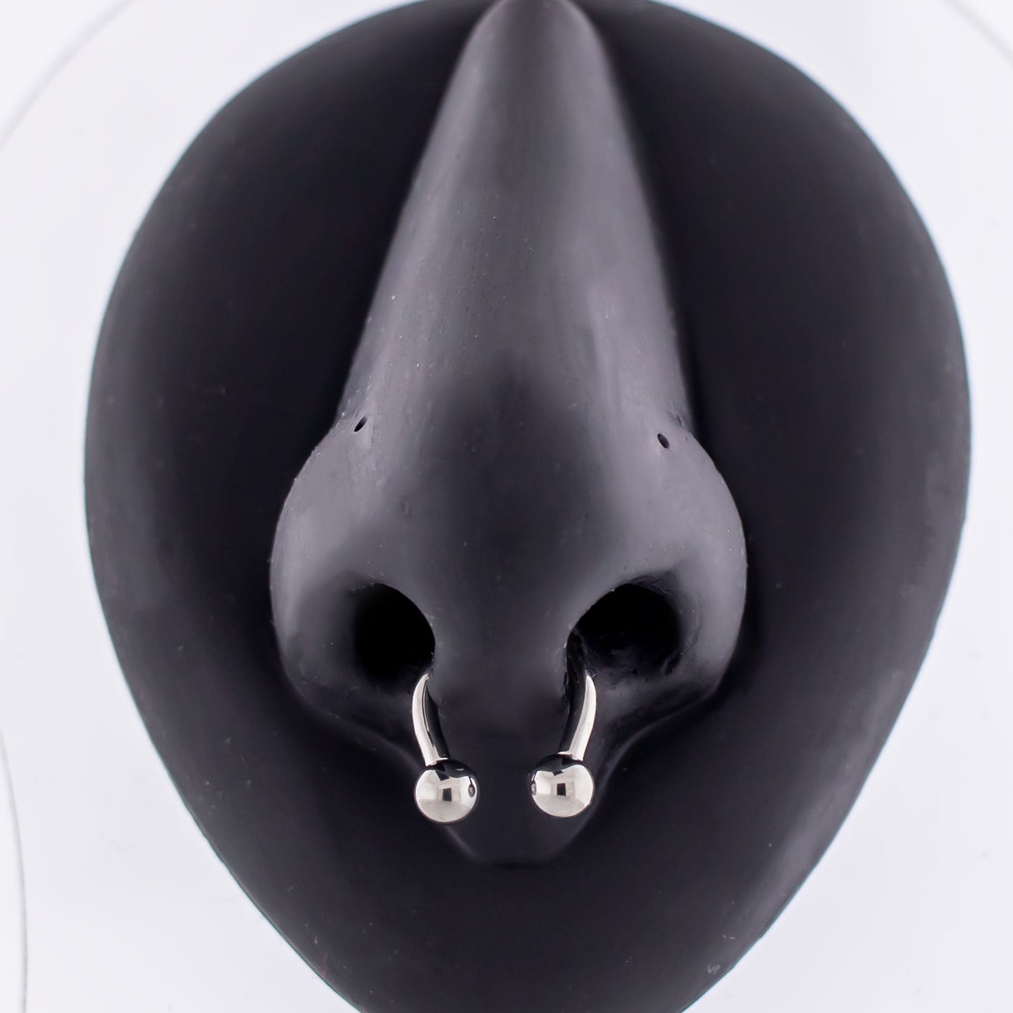 Steel Internally Threaded 16G Horseshoe - Pierced Addiction