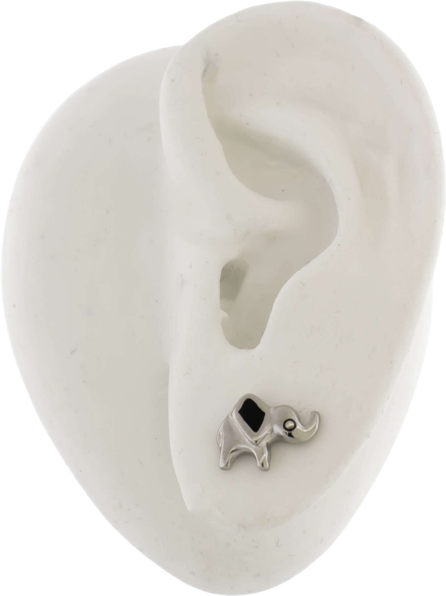 Steel Elephant Earring Studs