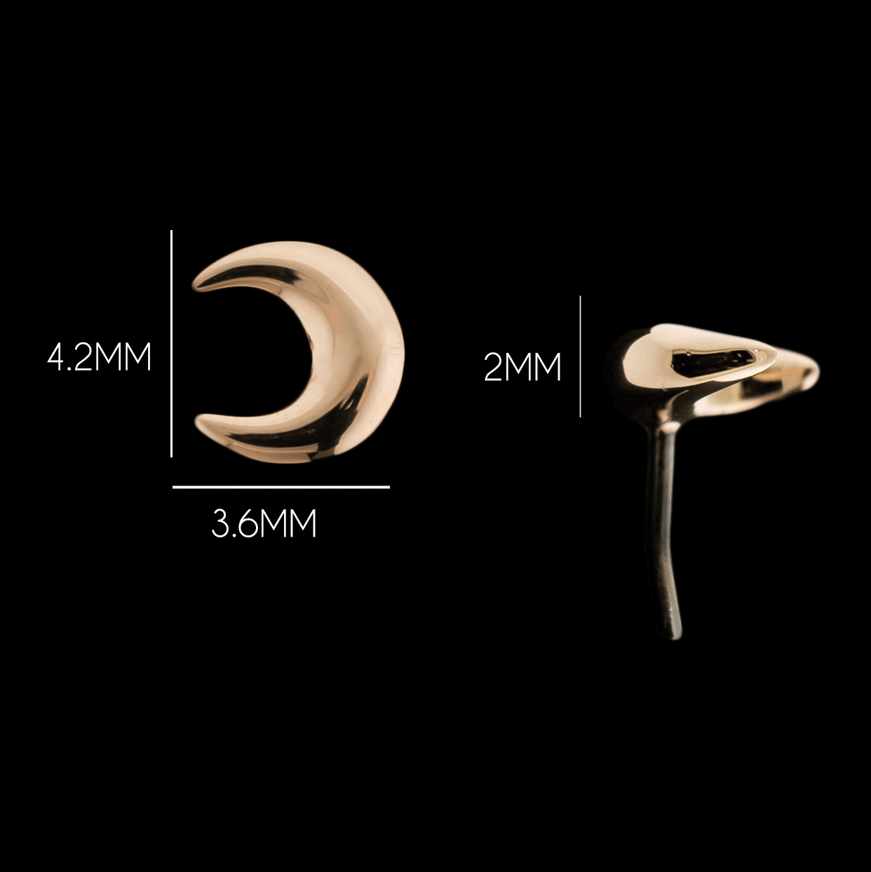 Nyx - 14KT Gold Threadless End - Pierced Addiction