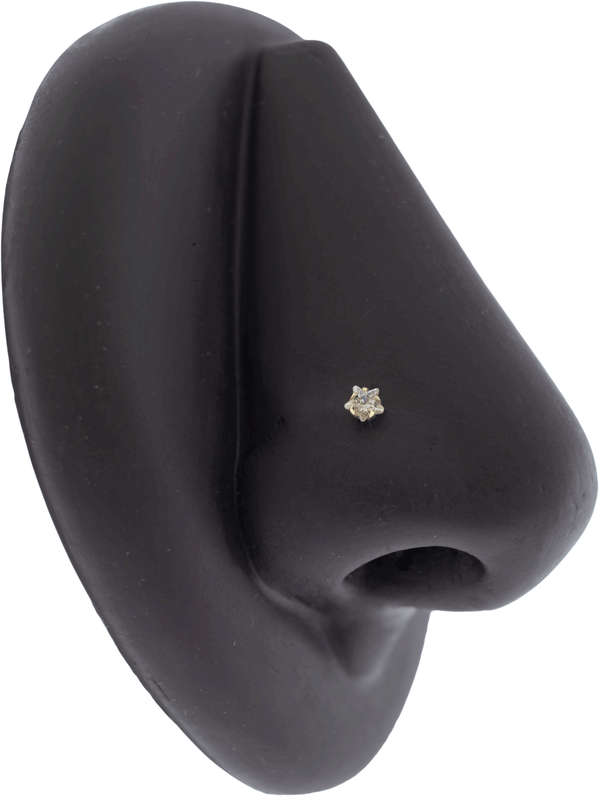 Celestia - 14KT Gold Threadless End - Pierced Addiction