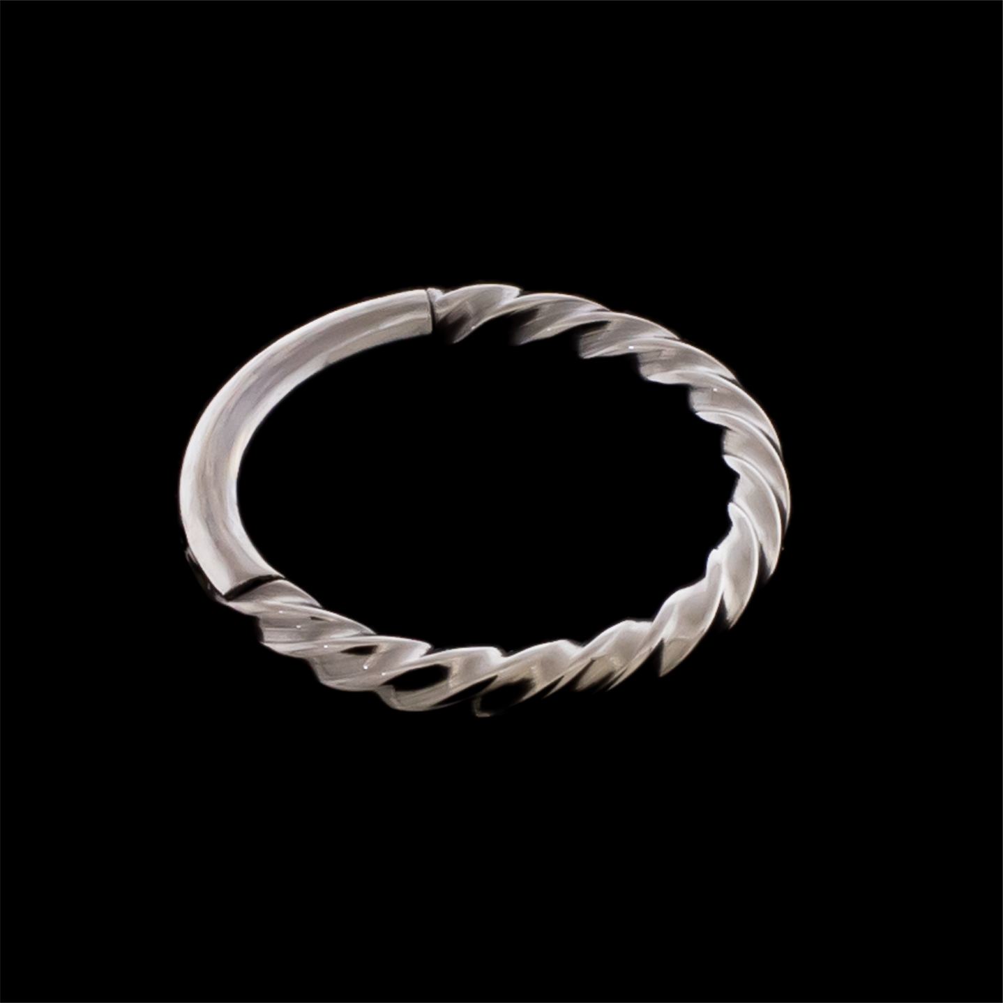 Nellie- Titanium Hinged Ring
