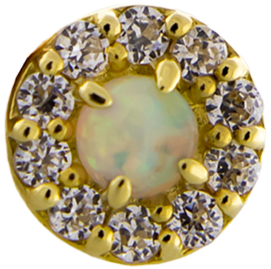 Liora - 14KT Gold Threadless End