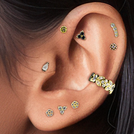 gold ear curation with conch ring