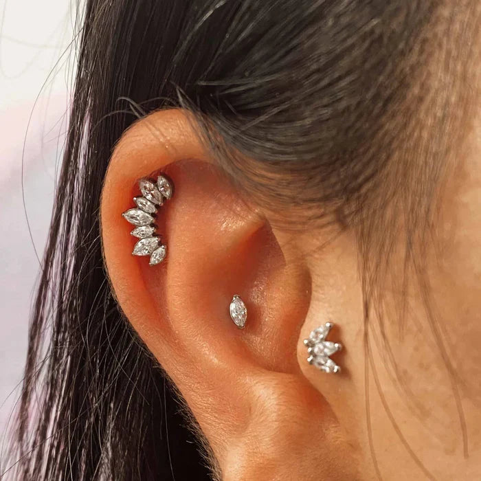 helix and tragus ear curation