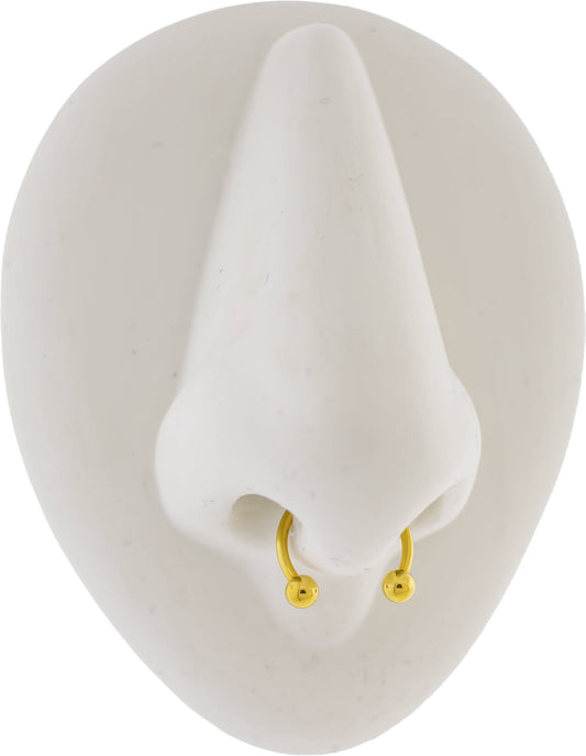 horseshoe septum ring