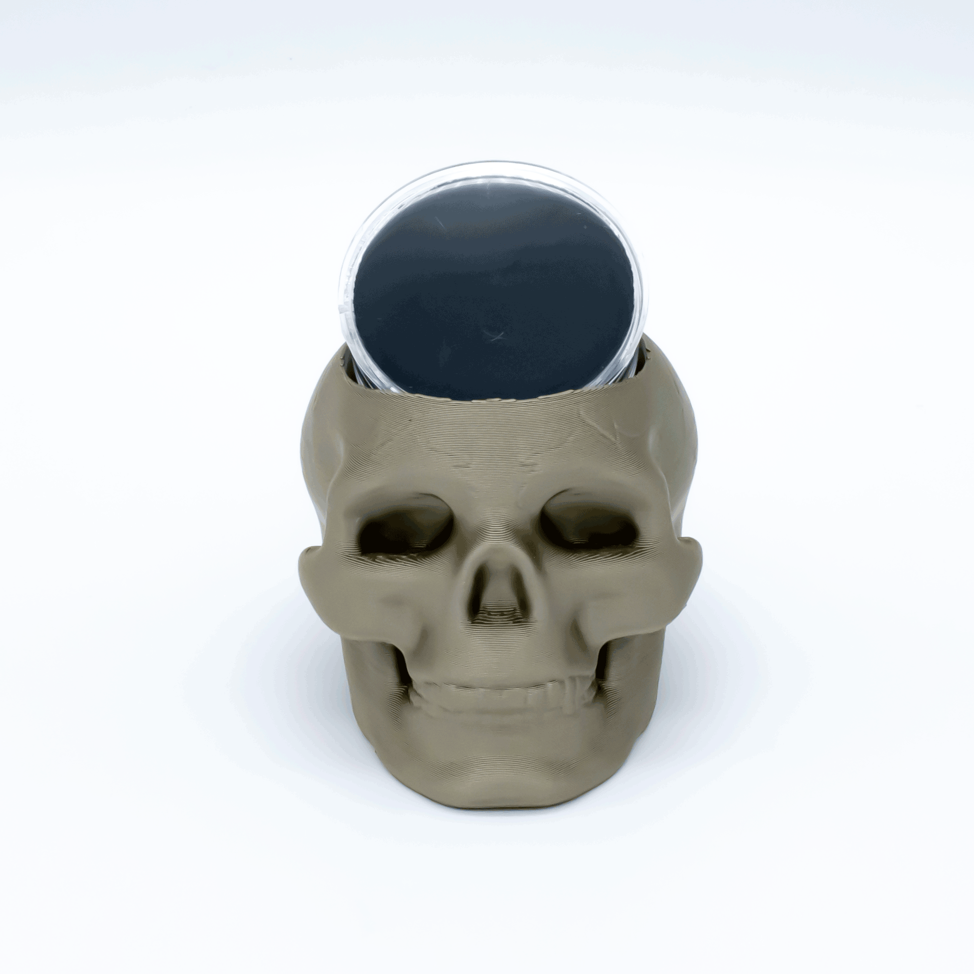 Skull Display for Threadless Ends– Black Foam Insert