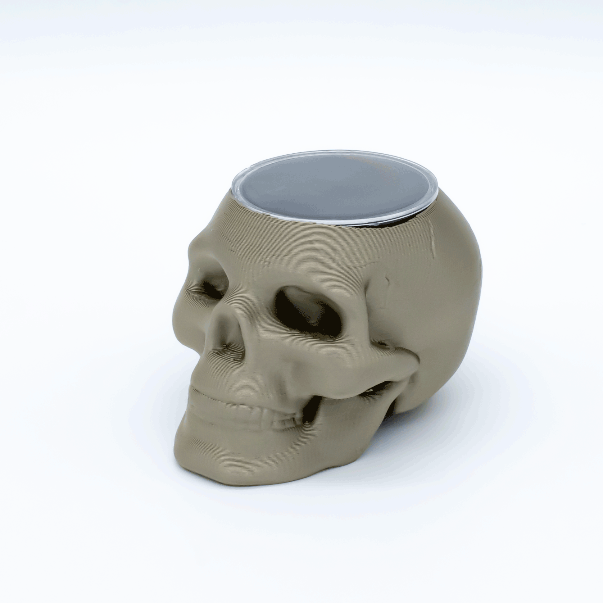 Skull Display for Threadless Ends– Black Foam Insert