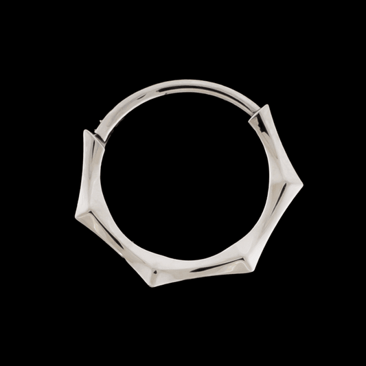 Maris- Titanium Hinged Ring - Khrysos Jewelry