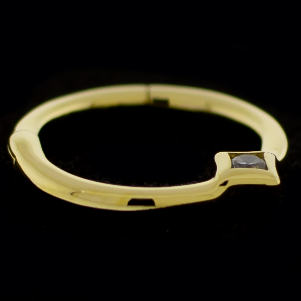 14kt Gold Hinged Ring - Diamond Accent - Pierced Addiction