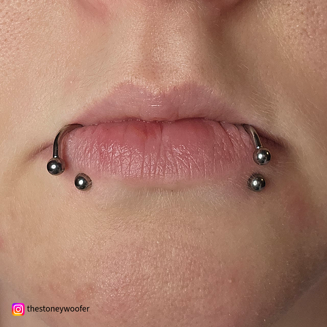 16G Titanium Horseshoe - Internally Threaded - Model Pic