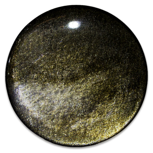 Gold Obsidian Stone Plugs - Pierced Addiction