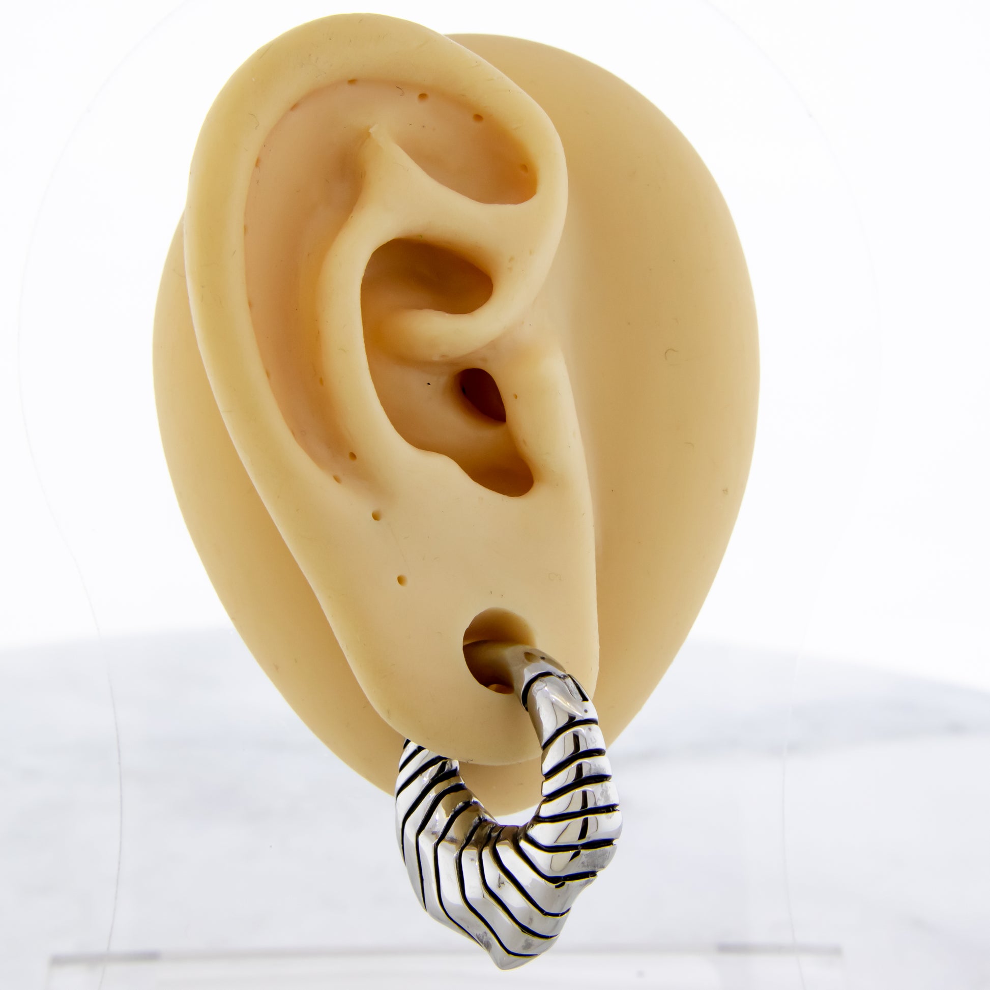 6G Steel Cast Rippled Shell Texture Ear Weight Clicker