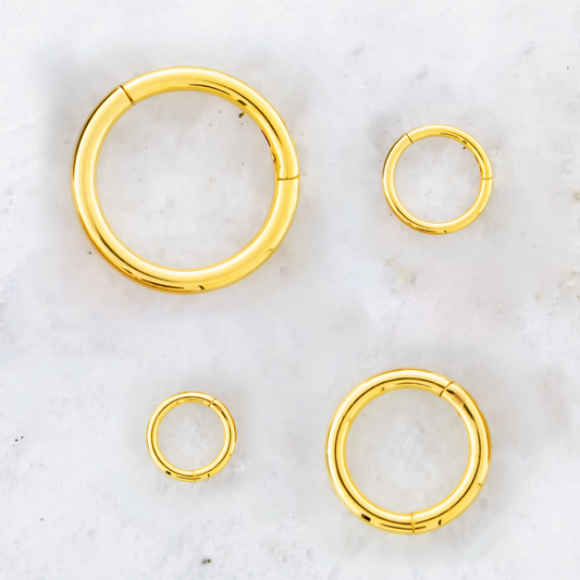 20G - 10G Steel Gold PVD Hinged Segment Rings