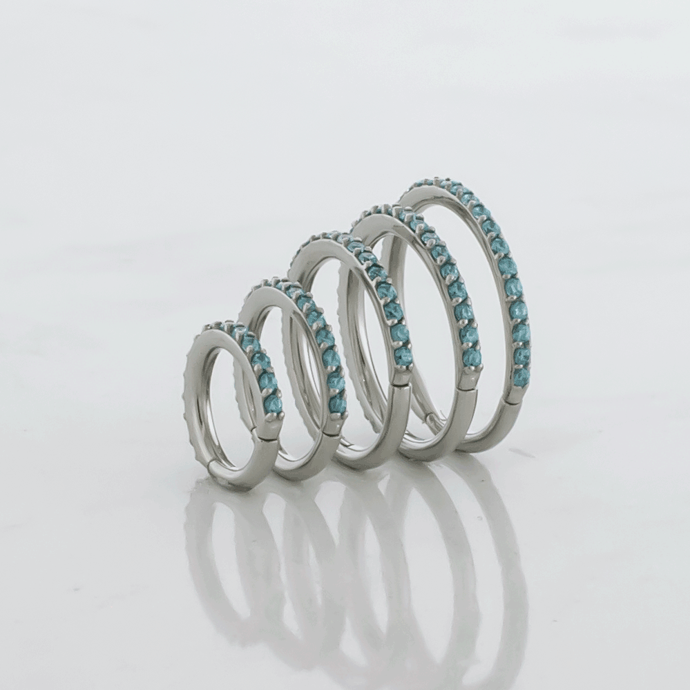 16G Steel Hinged Segment Rings With Colored Gems