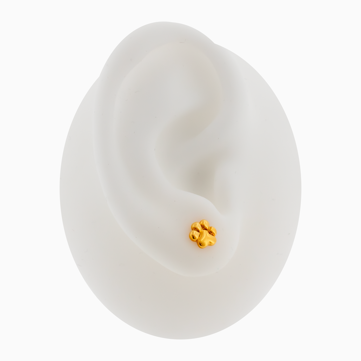 Steel Pawprint Earring Studs