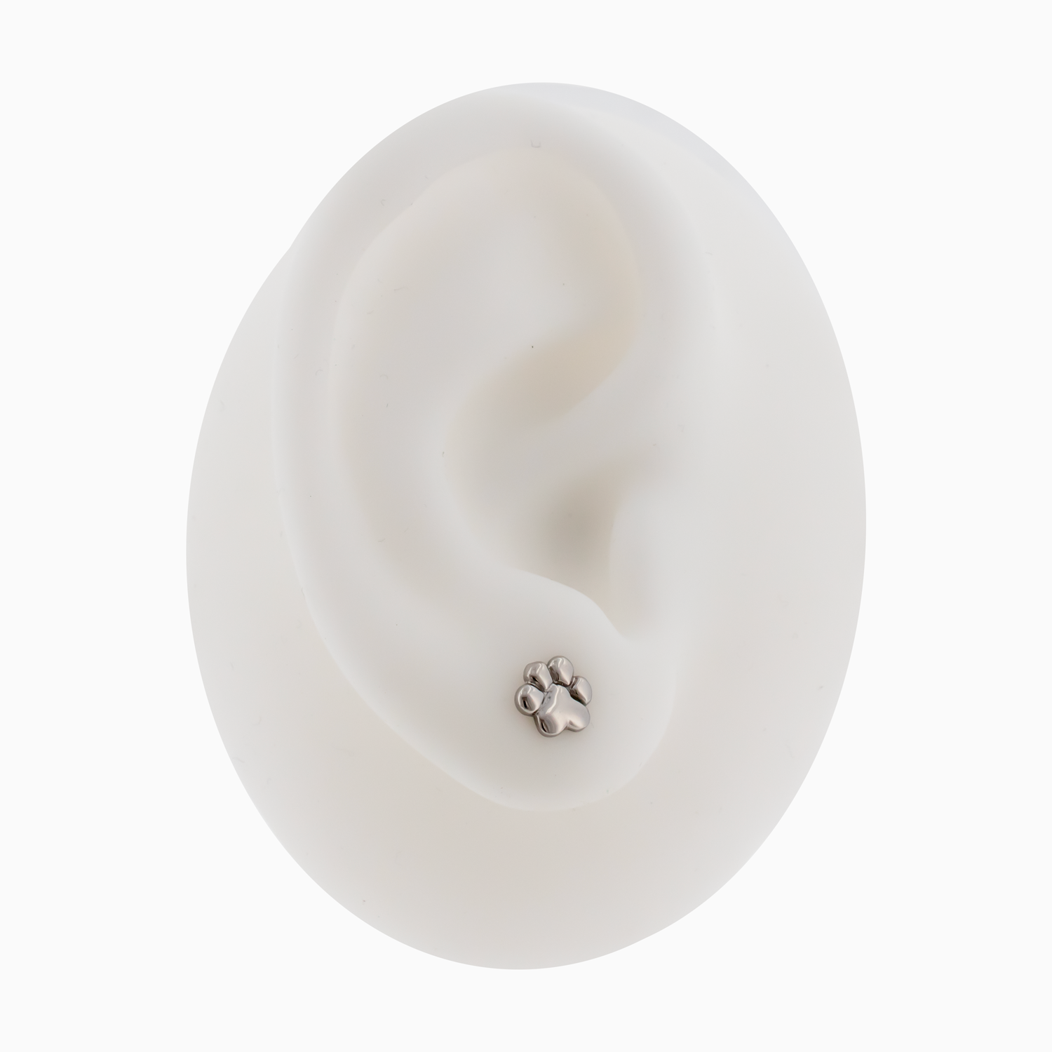 Steel Pawprint Earring Studs