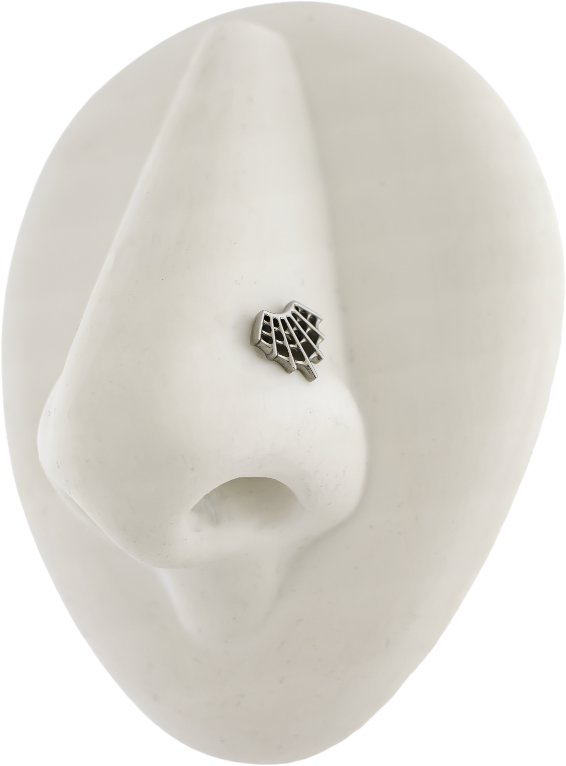 16G/18G Steel Internally Threaded End- Spider Web - Pierced Addiction