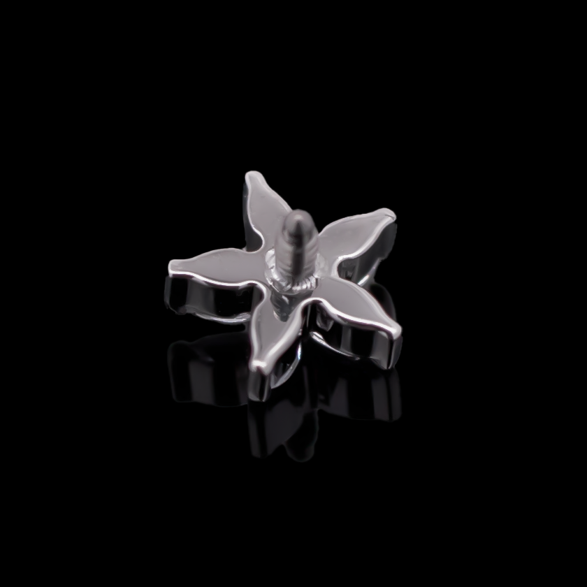Aura - 16G Internally Threaded End - Pierced Addiction