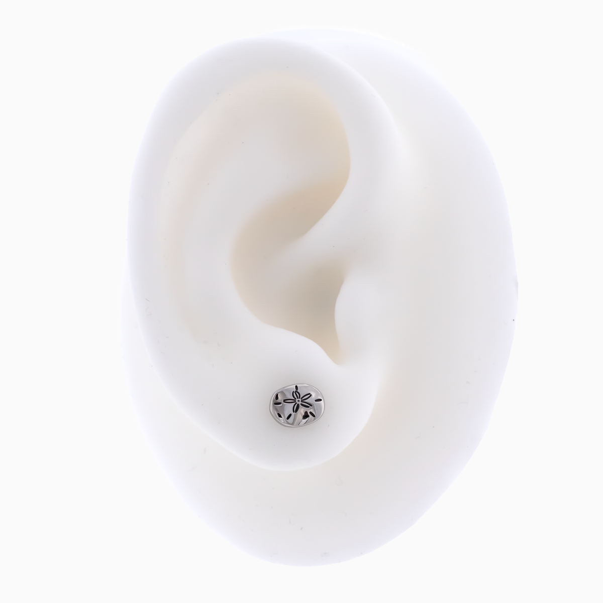 Steel Internally Threaded End - Sand Dollar 16G