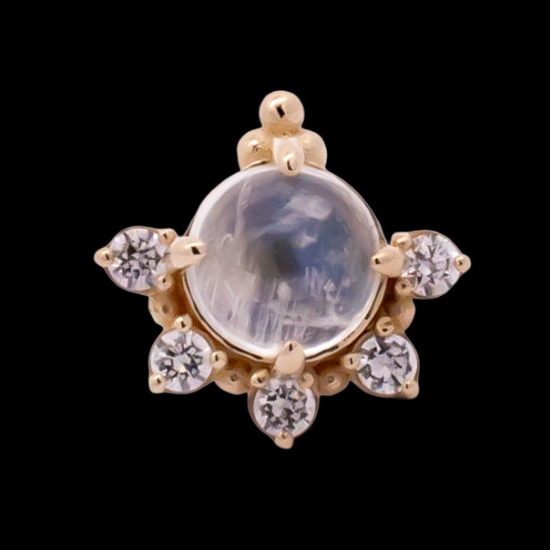 Lunara - 14kt Gold Threadless End - Pierced Addiction