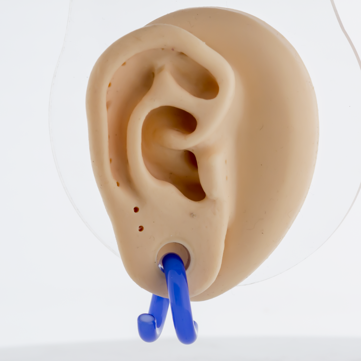 Electric Blue Borosilicate Glass Coil Ear Hangers – 8G–2G - Pierced Addiction