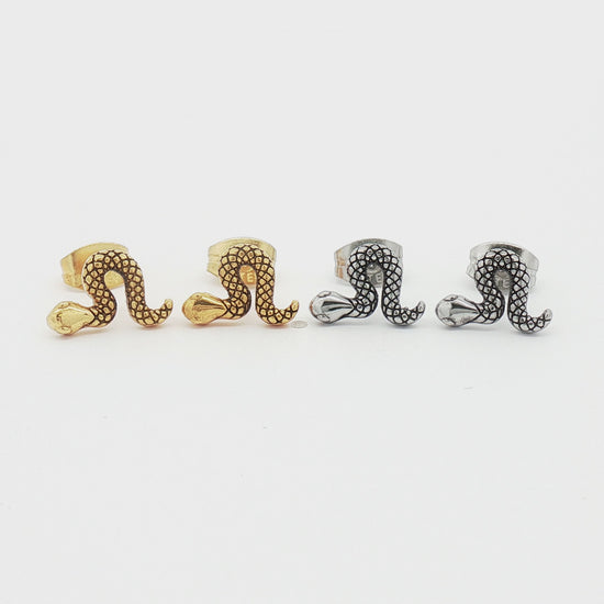 Steel Snake Earring Studs