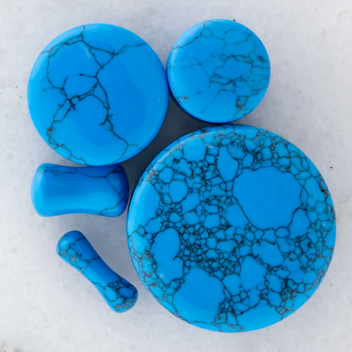 Turquoise Dyed Howlite Stone Plugs - Pierced Addiction