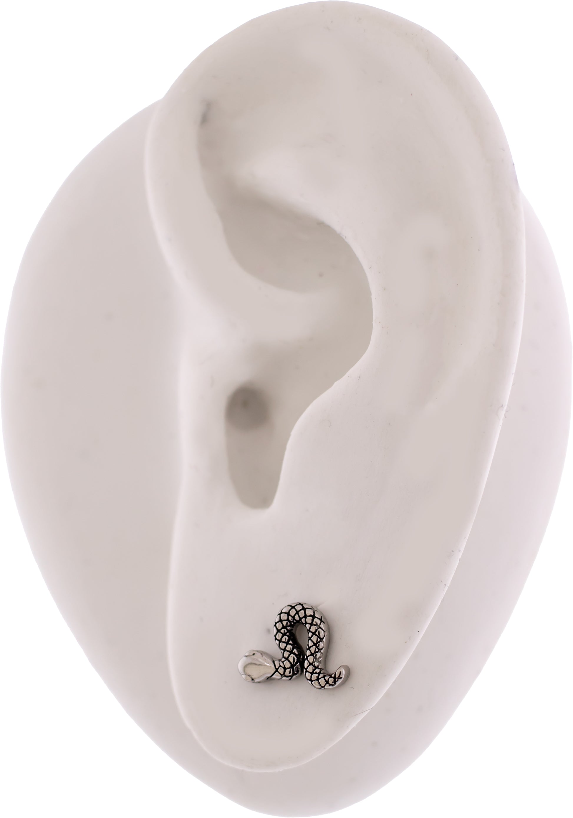 Steel Snake Earring Studs